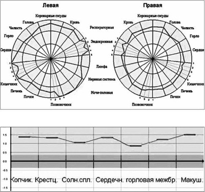 а - диаграмма состояния энергии по системам и органам; б - график распределения энергии по энергетическим центрам